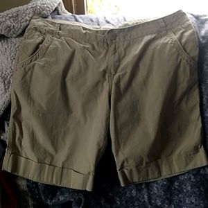Khaki Shorts (15)